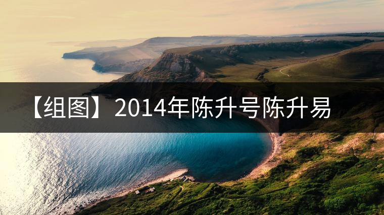 【組圖】2014年陳升號陳升易武開湯 【組圖】2014年陳升號陳升易武開湯
