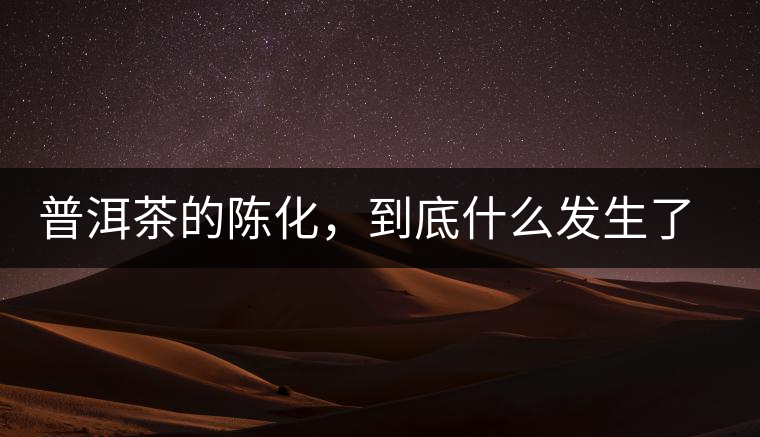 普洱茶的陳化，到底什么發(fā)生了哪些變化？
