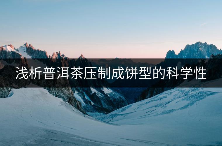 淺析普洱茶壓制成餅型的科學(xué)性