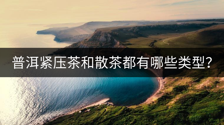 普洱緊壓茶和散茶都有哪些類型？