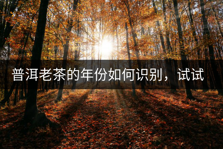 普洱老茶的年份如何識別，試試這幾個小技巧