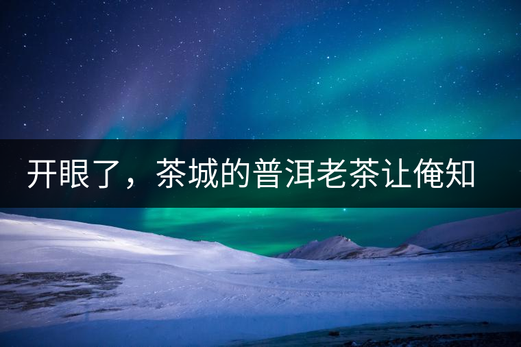 開眼了，茶城的普洱老茶讓俺知道了老茶樹