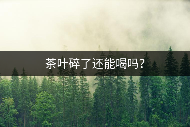 茶葉碎了還能喝嗎？