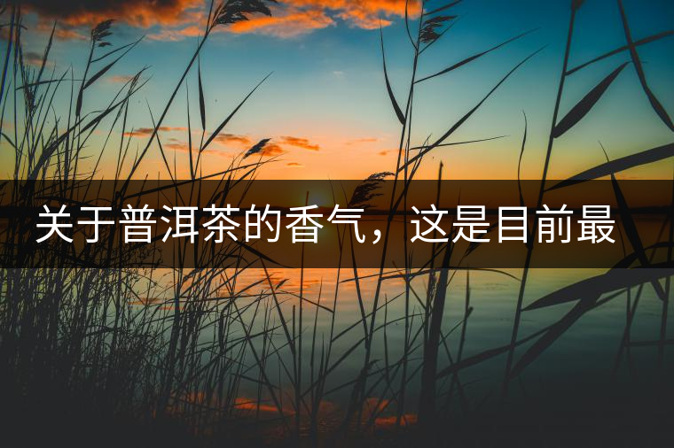關(guān)于普洱茶的香氣，這是目前最靠譜的解釋