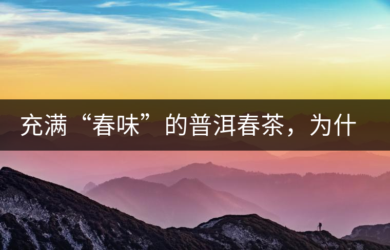 充滿“春味”的普洱春茶，為什么值得期待？