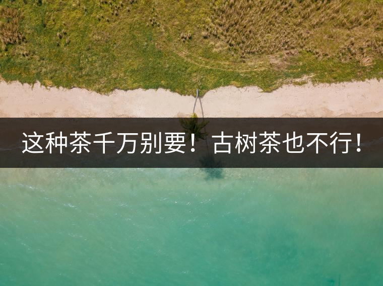 這種茶千萬別要！古樹茶也不行！