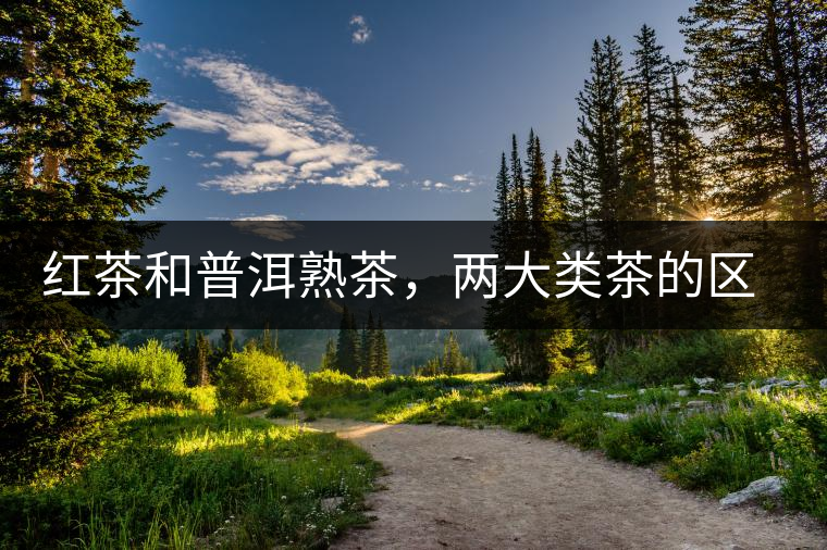 紅茶和普洱熟茶，兩大類茶的區(qū)別