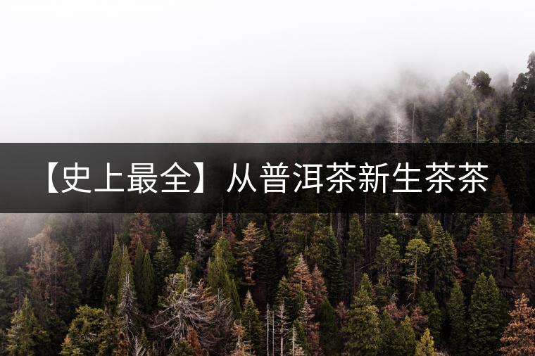 【史上最全】從普洱茶新生茶茶湯里辨析茶葉品質(zhì)! 【史上最全】從普洱茶新生茶茶湯里辨析茶葉品質(zhì)!