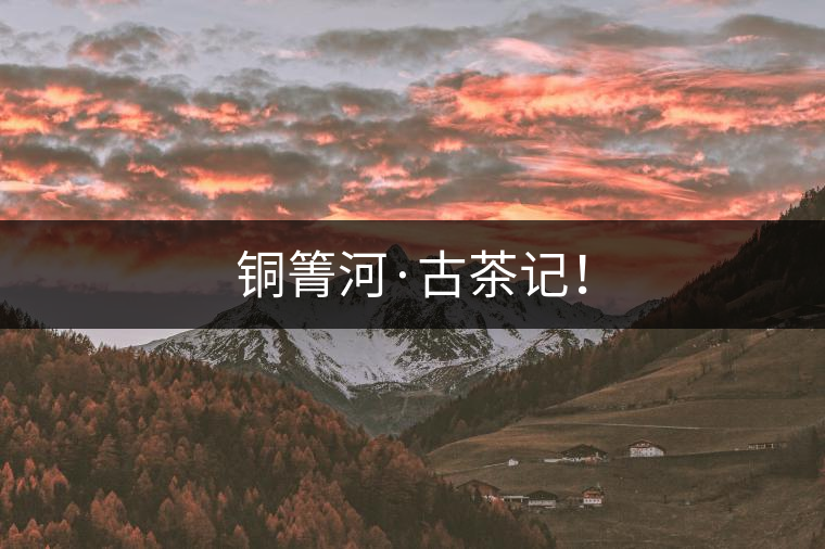 銅箐河·古茶記！