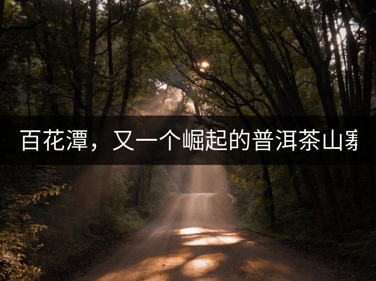 百花潭，又一個崛起的普洱茶山寨！