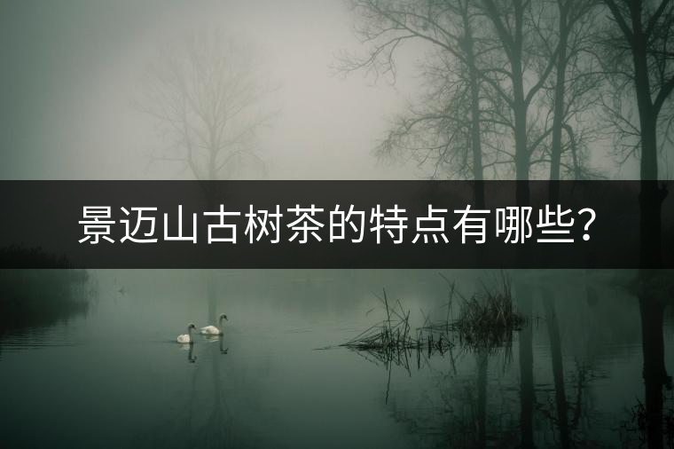 景邁山古樹茶的特點有哪些？