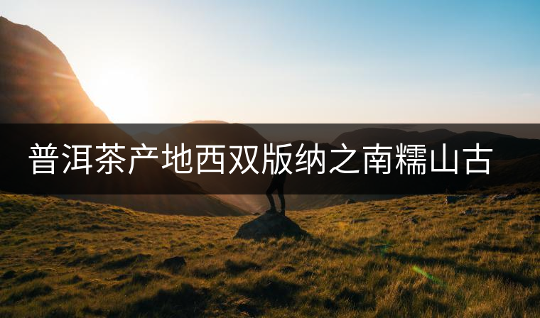 普洱茶產(chǎn)地西雙版納之南糯山古茶山