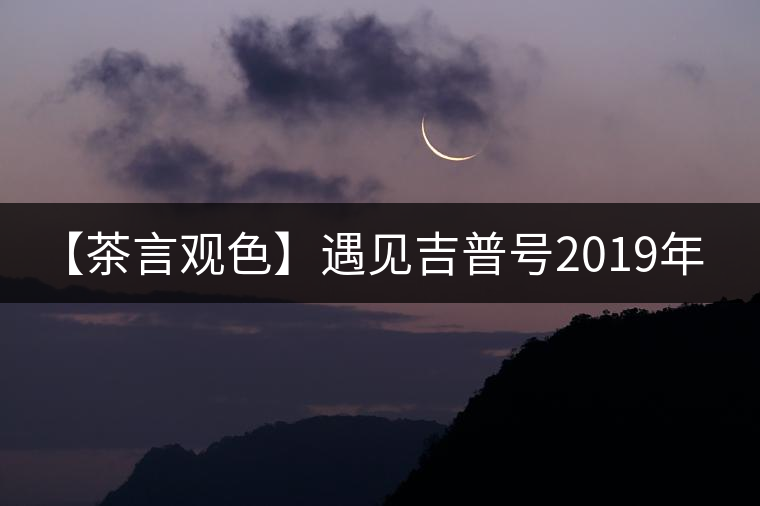 【茶言觀色】遇見(jiàn)吉普號(hào)2019年藏山603老班章