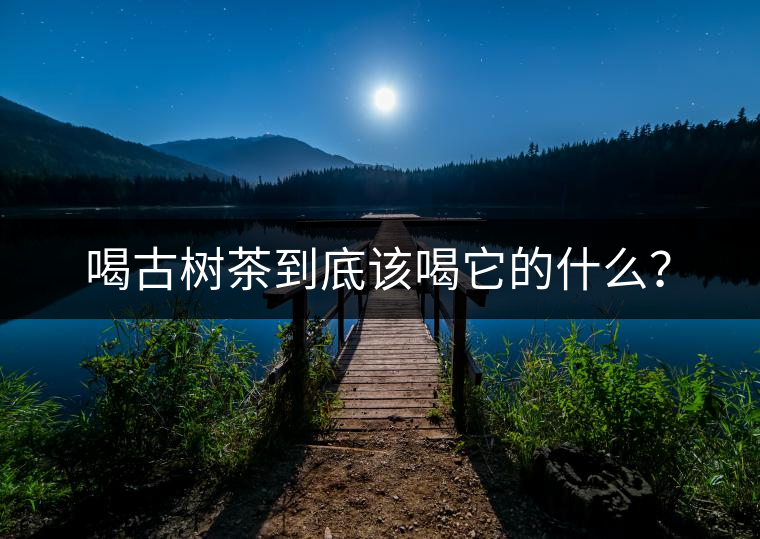 喝古樹(shù)茶到底該喝它的什么？