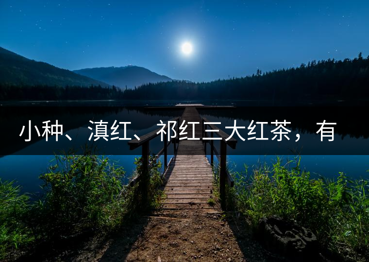 小種、滇紅、祁紅三大紅茶，有何區(qū)別