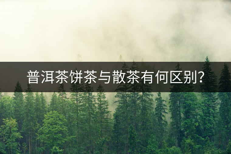 普洱茶餅茶與散茶有何區(qū)別？
