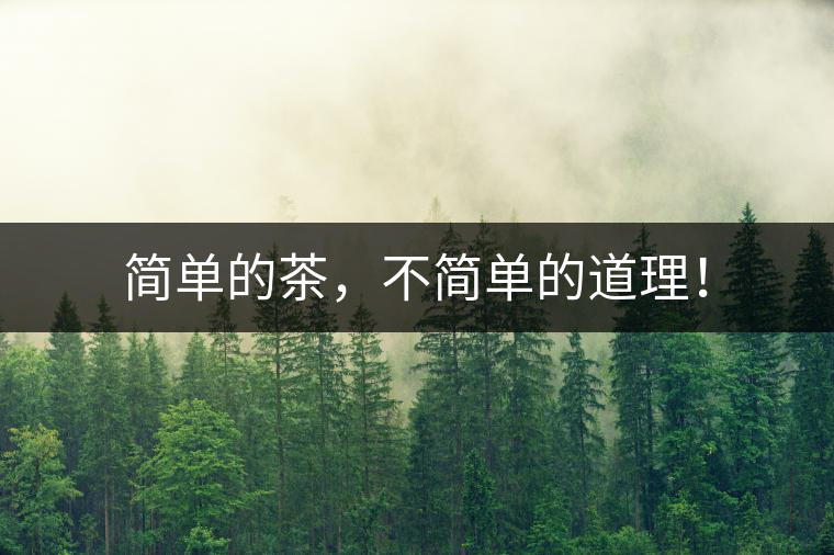 簡單的茶，不簡單的道理！