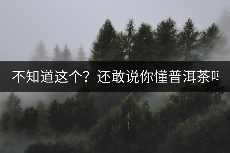 不知道這個(gè)？還敢說(shuō)你懂普洱茶嗎？