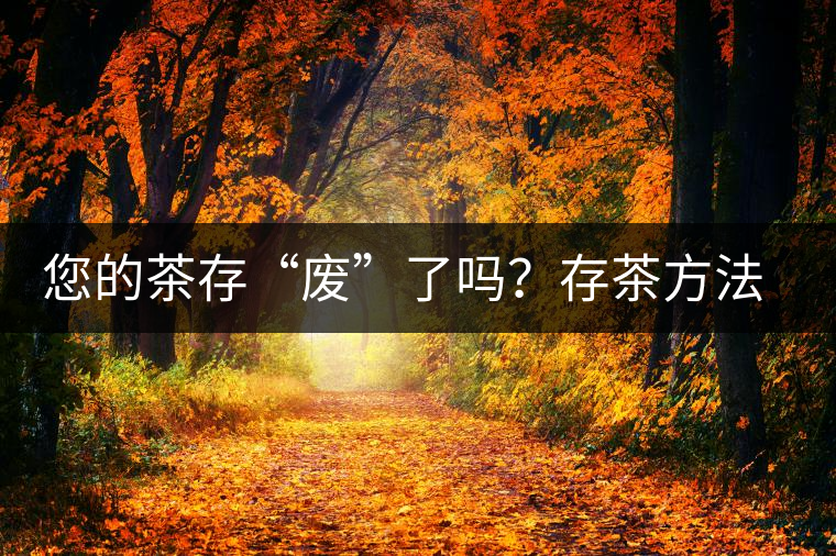 您的茶存“廢”了嗎？存茶方法與技巧，把香留住！