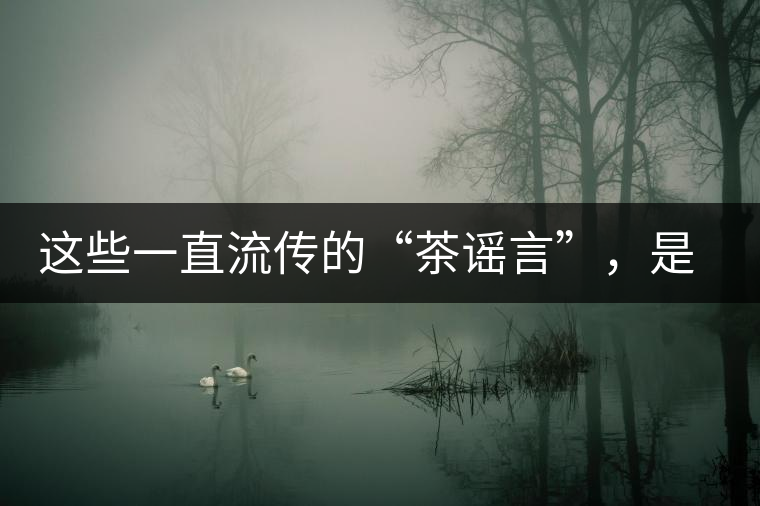 這些一直流傳的“茶謠言”，是時候知道真相了