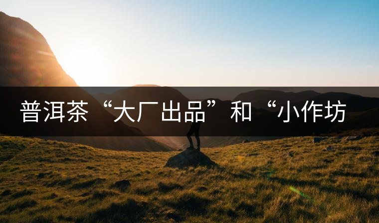 普洱茶“大廠出品”和“小作坊”，哪一個更值得購買？