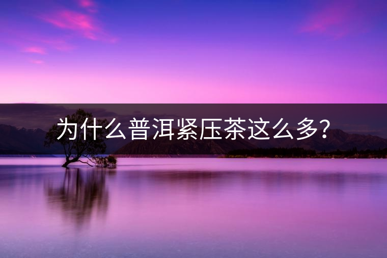 為什么普洱緊壓茶這么多？