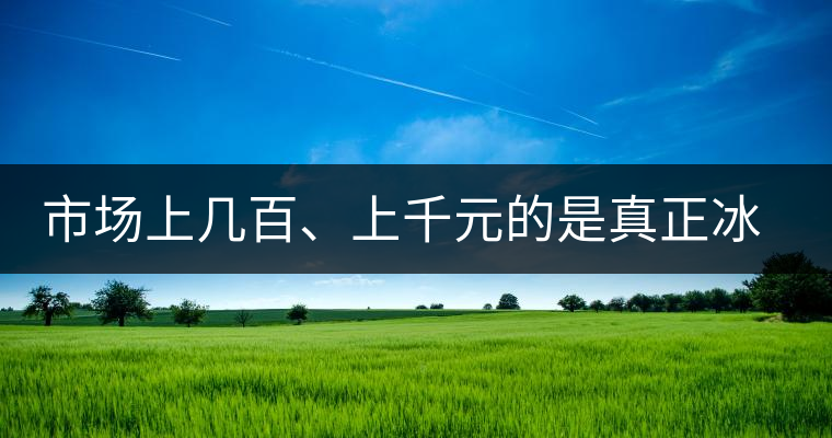 市場(chǎng)上幾百、上千元的是真正冰島茶？