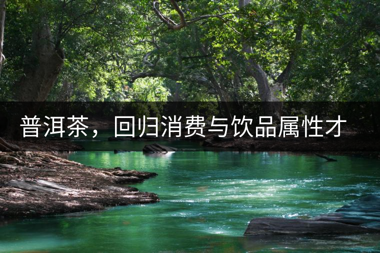 普洱茶，回歸消費(fèi)與飲品屬性才是正途