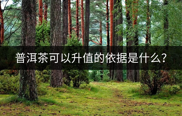 普洱茶可以升值的依據(jù)是什么？