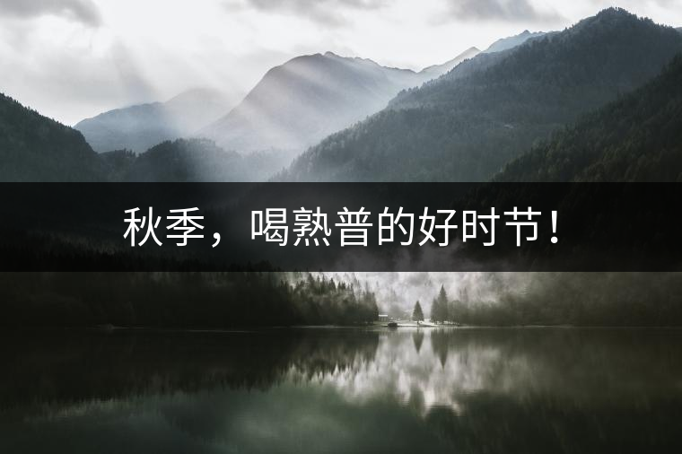 秋季，喝熟普的好時(shí)節(jié)！
