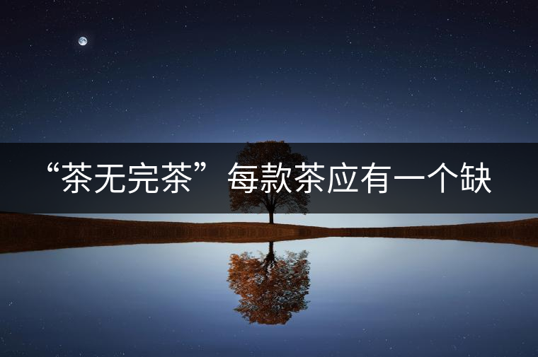“茶無完茶”每款茶應(yīng)有一個缺點！