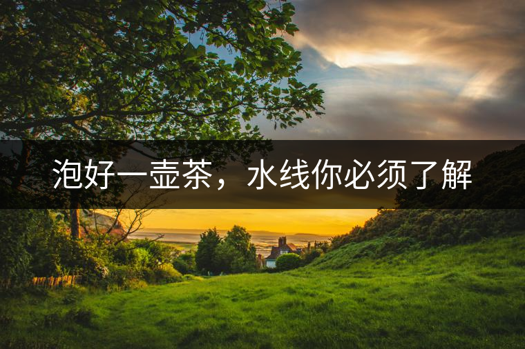 泡好一壺茶，水線你必須了解
