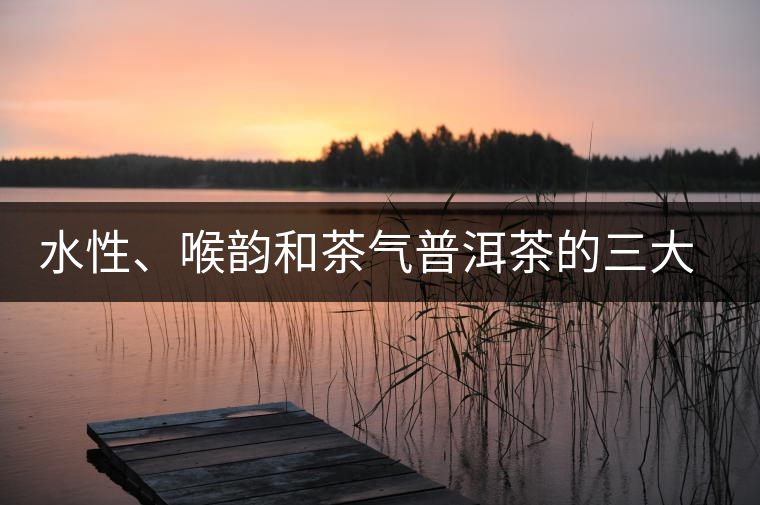 水性、喉韻和茶氣普洱茶的三大難點(diǎn)