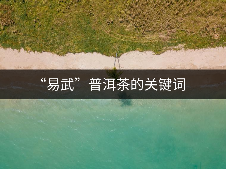 “易武”普洱茶的關(guān)鍵詞