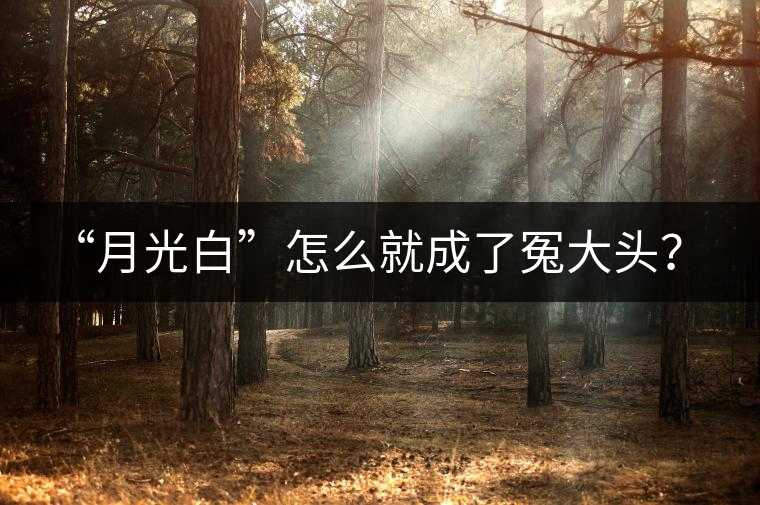 “月光白”怎么就成了冤大頭？