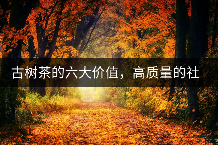 古樹茶的六大價值，高質(zhì)量的社交都離不開古樹茶