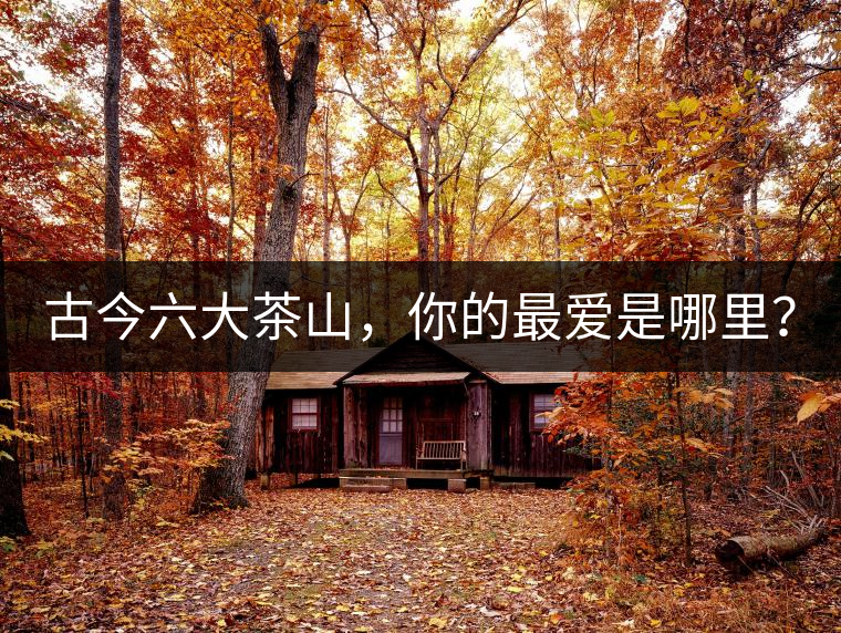 古今六大茶山，你的最?lèi)?ài)是哪里？