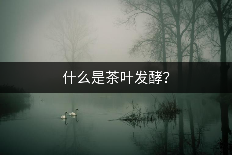 什么是茶葉發(fā)酵？