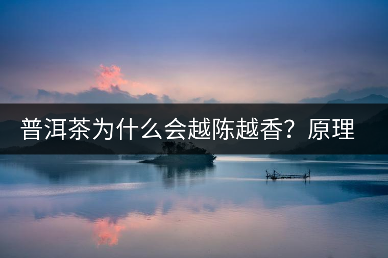 普洱茶為什么會(huì)越陳越香？原理是什么？
