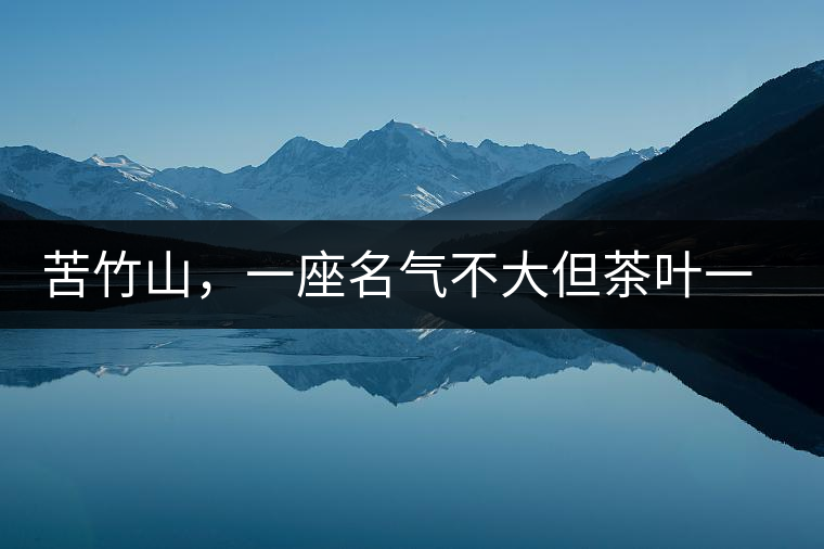 苦竹山，一座名氣不大但茶葉一流的古茶山