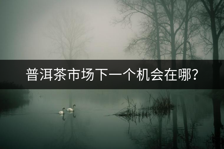 普洱茶市場下一個機會在哪？