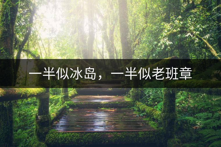 一半似冰島，一半似老班章