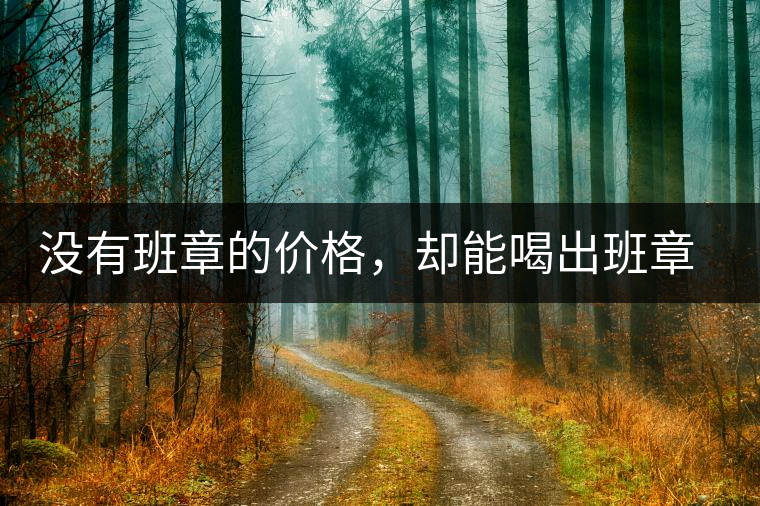 沒(méi)有班章的價(jià)格，卻能喝出班章的感覺(jué)