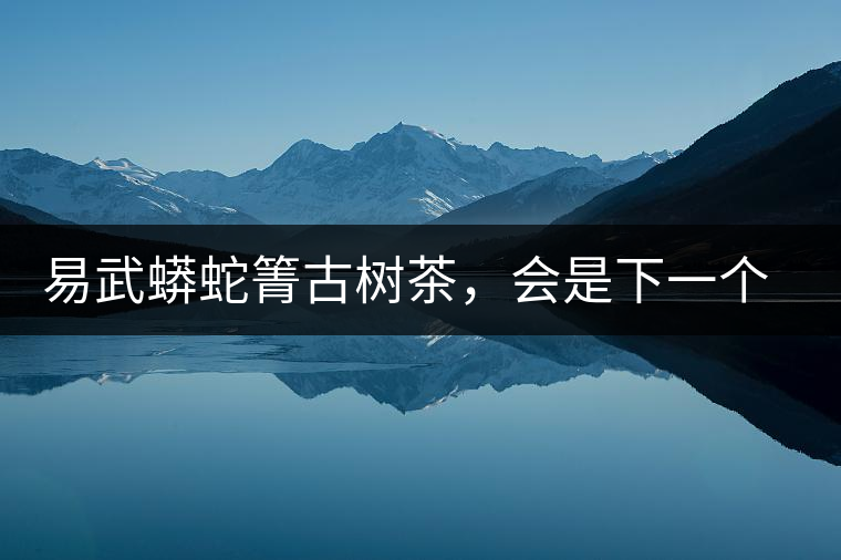 易武蟒蛇箐古樹茶，會是下一個銅箐河嗎？