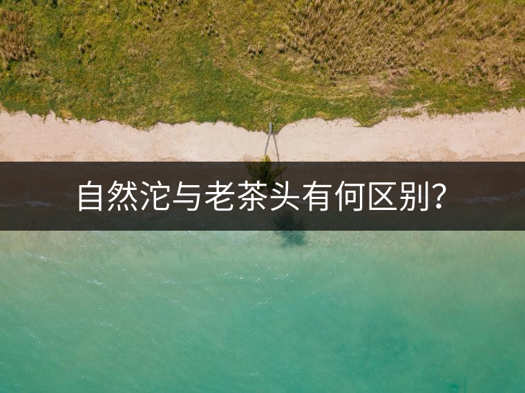 自然沱與老茶頭有何區(qū)別？