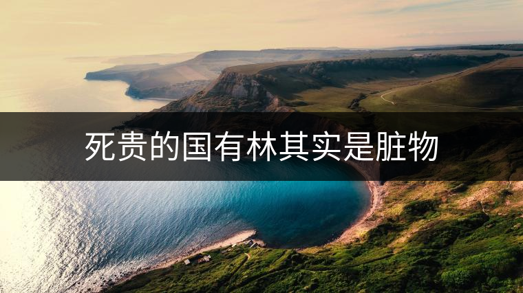 死貴的國(guó)有林其實(shí)是臟物