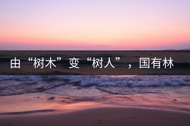 由“樹木”變“樹人”，國有林普洱茶為什么越來越受歡迎？