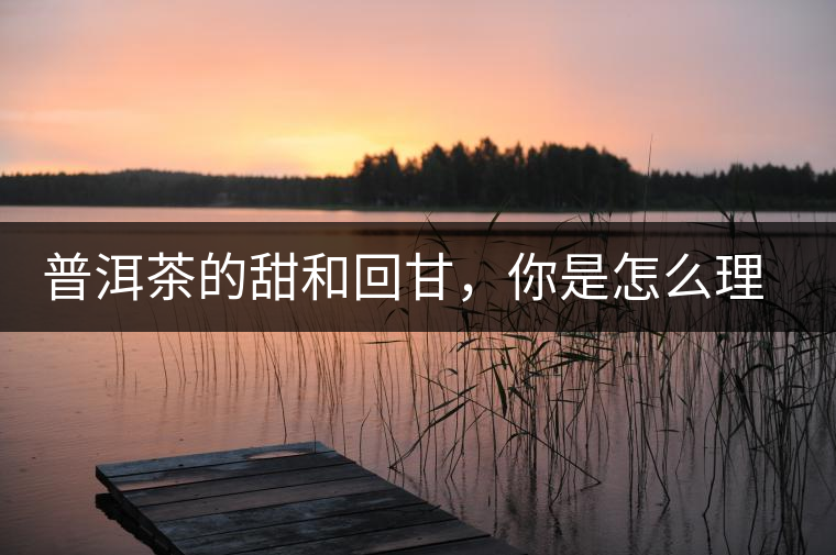 普洱茶的甜和回甘，你是怎么理解的？