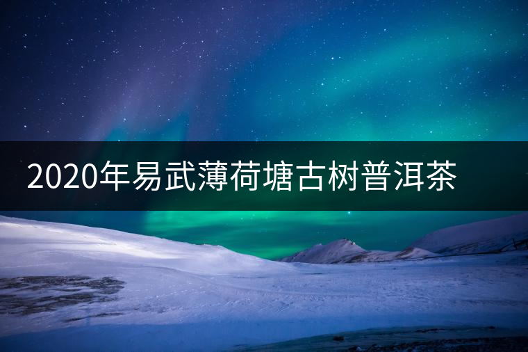 2020年易武薄荷塘古樹普洱茶特點，價格又上漲了嗎？