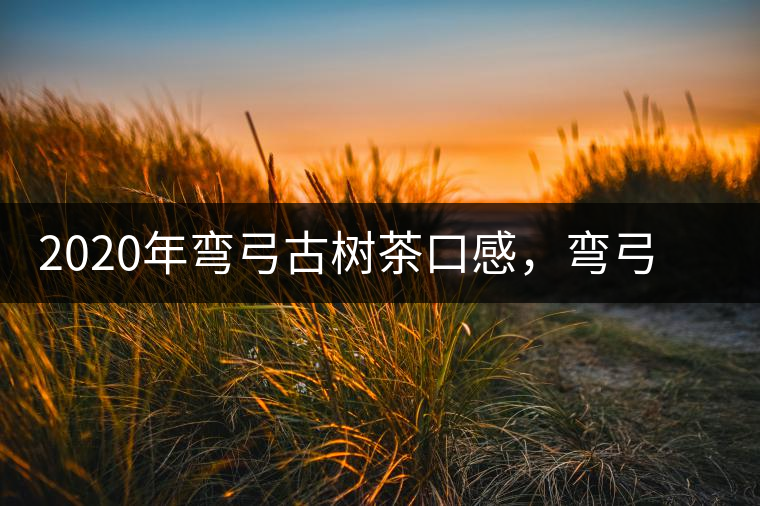 2020年彎弓古樹茶口感，彎弓普洱茶價格特點(diǎn)